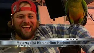 Motorcyclist hit-and-run manhunt