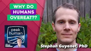 Why Do Humans Overeat? w/ Stephan Guyenet, PhD | Peak Human podcast