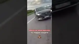 Хамло обочечное получил отпор!