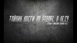 ТАЙНИК КОСТИ НА РАДАРЕ В ЛЕСУ НА ДЕРЕВЕ - СТАЛКЕР НАРОДНАЯ СОЛЯНКА ОП-2