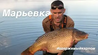 Карповая рыбалка на Марьевке