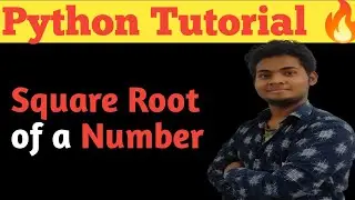 Write a Program to Find the Square Root of the Number in Python in Hindi | python for beginners