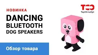 Smart Dancing Dog Speakers. Обзор портативной колонки.