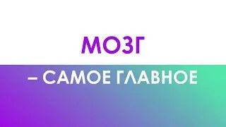 Мозг - самое главное