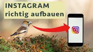 Als Naturfotograf erfolgreich auf Instagram - meine besten Tipps & Strategien