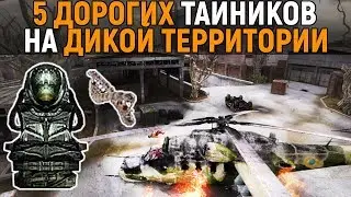 5 самых дорогих тайников. Сталкер - Тень Чернобыля. Дикая территория.