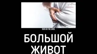 Пророк Мухаммад С.А.В про Большой Живот