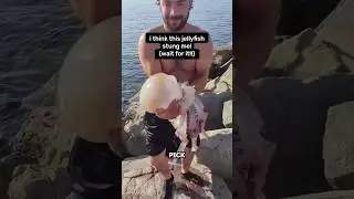 Protect Yourself: NEVER pick up a Jellyfish 😱