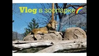 VLOG №15 в зоопарк с немецким другом