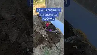 Делаем отмостку с сыном | главный работник в семье #семья #дом #сын #отмостка