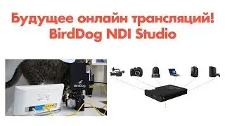 BirdDog Studio NDI - обзор и тест энкодера/декодера или как делать онлайн трансляции качественно