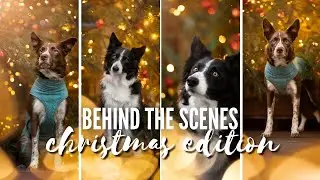 Christmas Photos: Behind the Scenes!