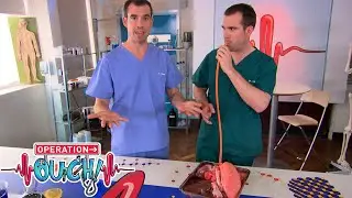 "The Machine Thinks You Are Dead" | #Clip | TV Show for Kids | Operation Ouch