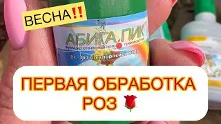 ✅ПЕРВАЯ ОБРАБОТКА РОЗ - ВЕСНА🌹АБИГА ПИК 50 гр на 10 л.воды