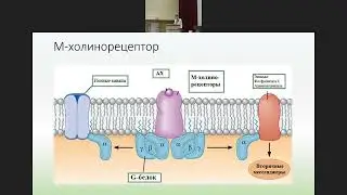 Вельтищевские пятницы