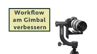 Gimbal Stativkopf bestmöglich bedienen - 3 Tipps (Tierfotografie Tutorial)