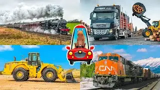 Trains and construction equipment for kids Railway transport and construction transport for children