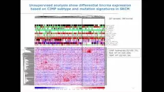 Profiling Long Intergenic Non-Coding RNA Interactions In The Cancer Genome - Samir Amin