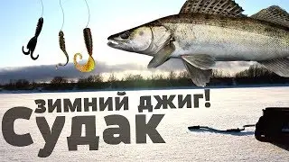 Как ловить судака на силикон зимой? Ловля судака на вертикальный джиг зимой!