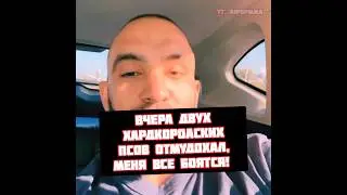 Хамзат Куриев с Хоронженко и Зияевым про вчерашнюю суету на Хардкоре