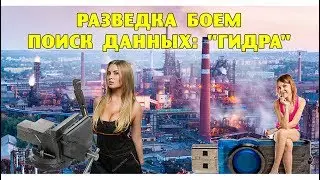 ОП-2.1.  Разведка боем.  Поиск данных - Гидра