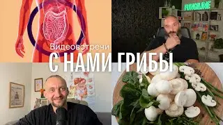 С нами грибы. Грибы и микробиом. Дмитрий Алексеев