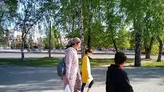 Русские березы.....Автор видео Николай.... Барнаул