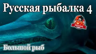 Русская рыбалка 4 Норвежское море  РАЗМОТ!