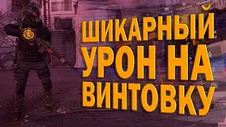 Имба билд на винтовку М1А с постоянным уроном через новые сеты The Division 2