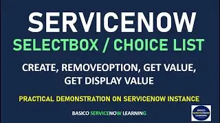 CREATE, GET DISPLAY VALUE, REMOVE OPTION, ADD OPTION | SERVICENOW CHOICE LIST | SERVICENOW SELECTBOX