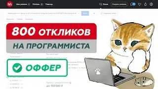 Я отправил 800 откликов и получил оффер