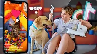 Ich kaufe 5 skurrile TIKTOK Hunde-Gadgets (da muss Dobby jetzt durch…)