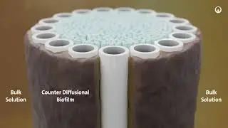 Explore ZeeLung Membrane Aerated Biofilm Reactor by Veolia