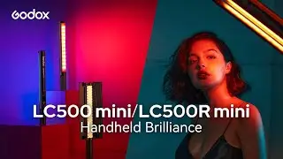 LC500 mini / LC500R mini Handheld Brillance