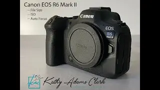 Canon R6 Mark II In The Field