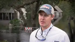 Historic Flooding Hits Tampa Bay Rivers: The Impact of Hurricane Milton Explained