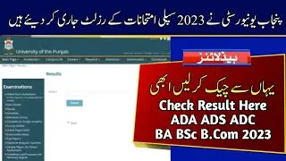 Check Result of ADA ADS ADC BA BSc B.Com 2023 Supply Result | Punjab University