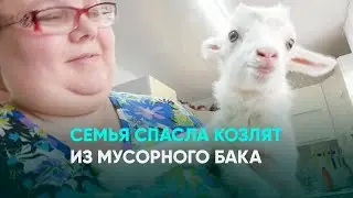 Семья спасла козлят из мусорного бака