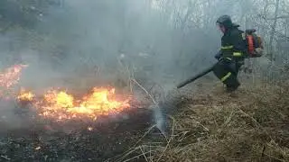 22 04 2021 Приморский край.  Тушение палов.  Комментарий Антона Оркиша