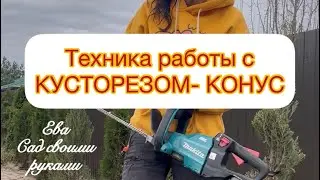 ‼️ТЕХНИКА РАБОТЫ С КУСТОРЕЗОМ - ТУЯ КОНУС‼️