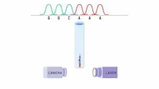 How to Sequence a Genome: 9. Reading the Sequencing Products