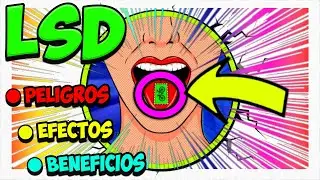 LSD 🟣 Efectos y lo que NO tienes que hacer