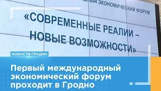 Первый международный экономический форум проходит в Гродно