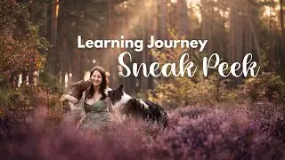 Learning Journey: Sneak Peek