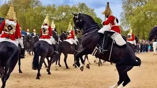 HOUSEHOLD CAVALRY INCIDENT (UPDATE)