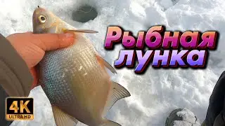 РЫБАЧУ НА ЧЁРТИКИ. НАШЁЛ ЛУНКУ С ЛЕЩЁМ !!!