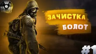 ЗАЧИСТКА БОЛОТ | STALKER ЧИСТОЕ НЕБО | №1