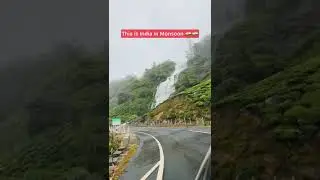 Indian roads in the Monsoon season! #Kerala #travelshorts #tanyakhanijowshorts