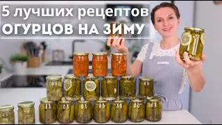 ОГУРЦЫ зимой НЕ ПОКУПАЮ! ЛУЧШИЕ рецепты МАРИНОВАННЫХ ОГУРЦОВ. Салаты из огурцов на зиму |Оливьедка