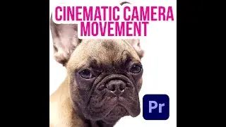 Cinematic Camera Movement In Premiere Pro 